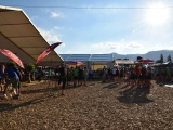 Tn Bild (106)